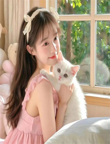 《铁姬钢兵第2季》评价怎么样？专业评分与观众口碑对比